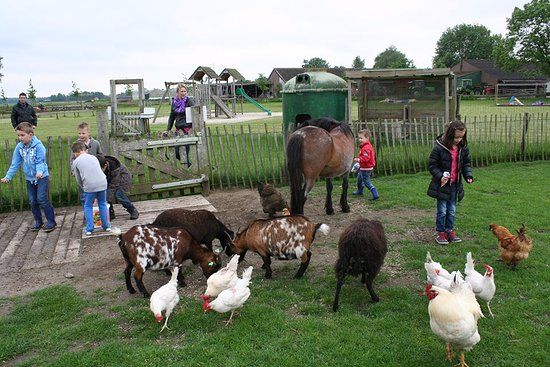 Speel en kinderboerderij 't Platteland