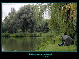 Droomvijver