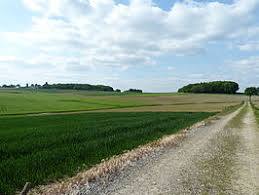 de Vrouwenheide