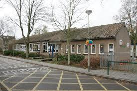 Kingbeek