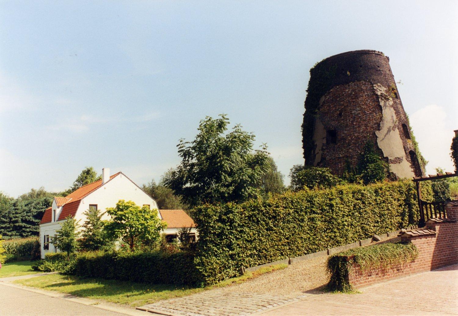 De Korenbloem