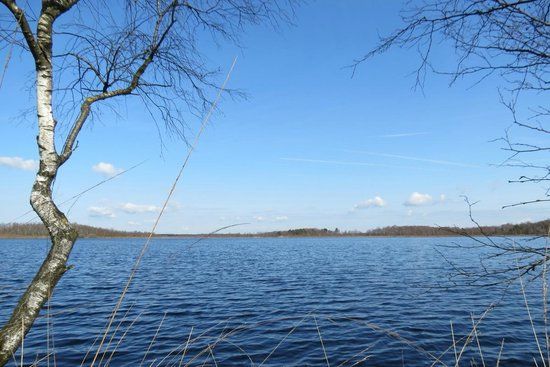 Nationaal Park de Groote Peel