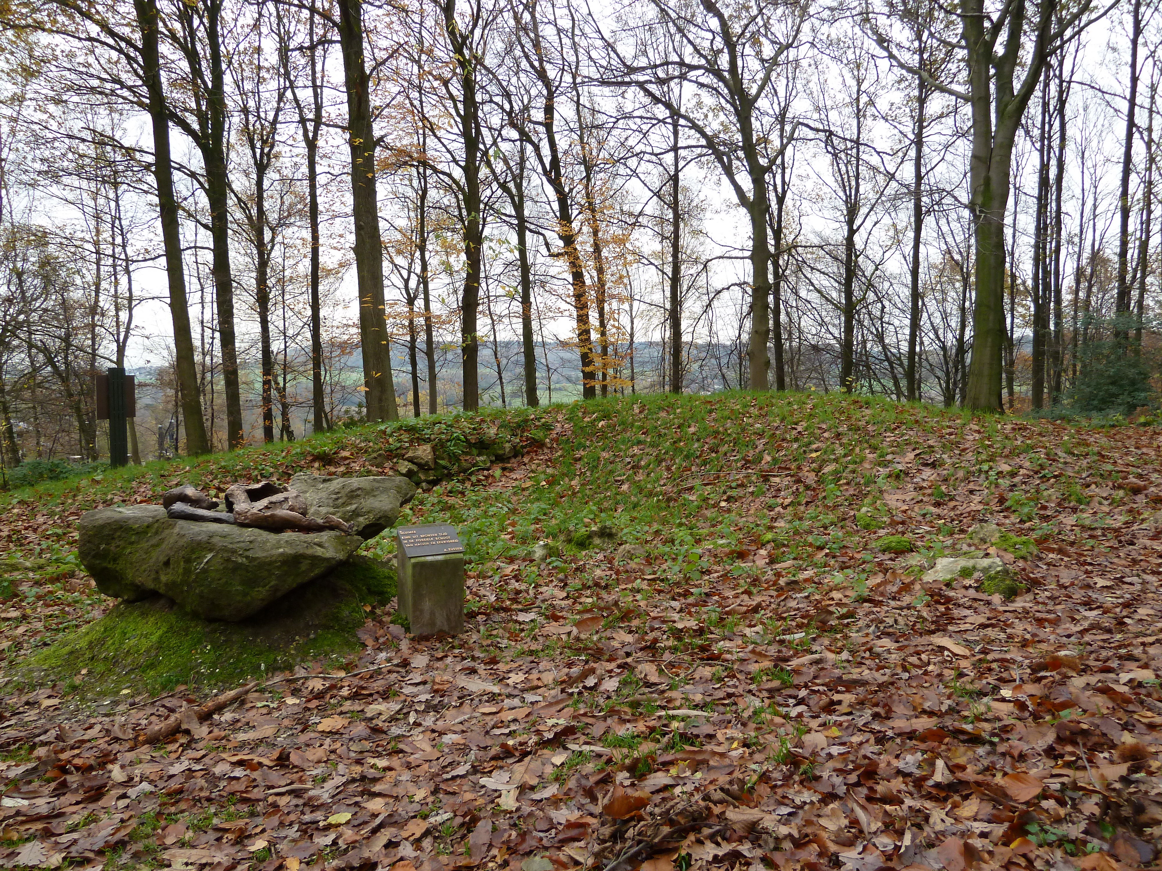 Grafheuvels Vijlenerbos